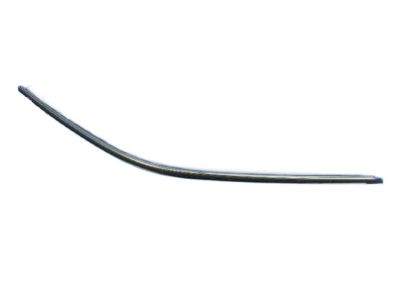 Dodge 4575902AB SEAL