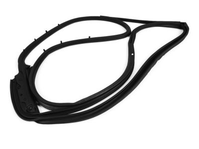 Mopar 68040047AL Weatherstrip Rear Door Mounted