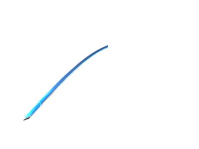 Chrysler 57010365AC MOLDING Front Door