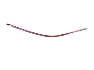 Chrysler 57010365AC MOLDING Front Door