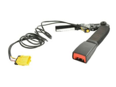 Ram 1ZS81JXWAA Buckle