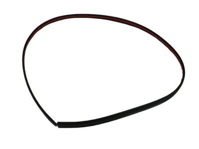 Dodge WU04RXFAC MOLDING Roof