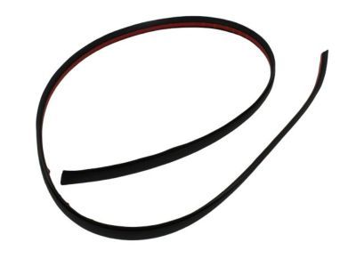 Dodge WU04RXFAC MOLDING Roof