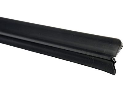 Dodge 55275504AA WEATHERSTRIP Door Belt