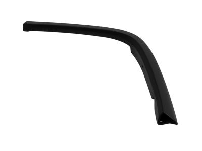 Mopar 1MP35RXFAG Molding Quarter Panel