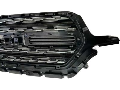 Mopar 68404973AD Grille Radiator Limited