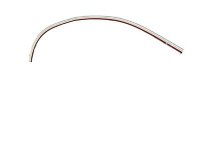 Dodge 1GD41DX8AE MOLDING Roof