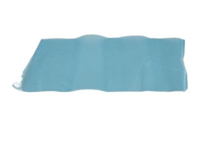 Dodge 5182154AA Stone Guard