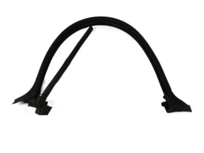 Dodge 55359396AF SEAL Rear Door