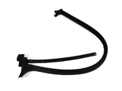 Dodge 55359396AF SEAL Rear Door