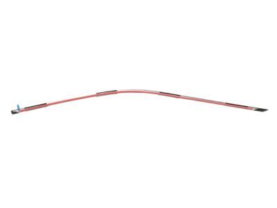 Dodge 57010505AL MOLDING Day Light Opening Front Door