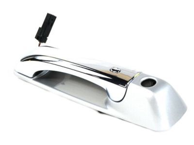Ram 1UJ831S2AH HANDLE Exterior Door