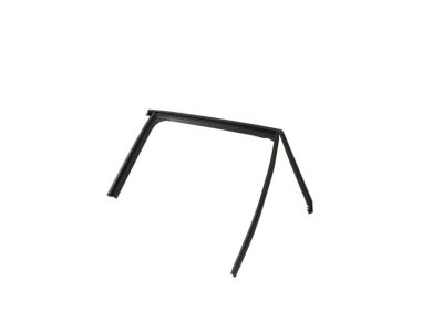 Mopar 68361342AA Weatherstrip Front Door Flush Glass