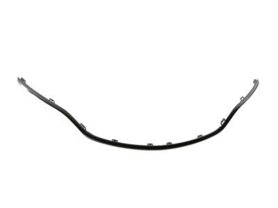 Chrysler 68202985AC Molding