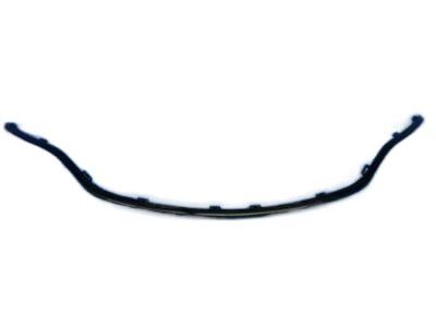 Chrysler 68202985AC Molding