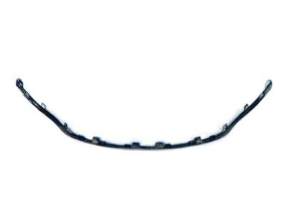 Chrysler 68202985AC Molding