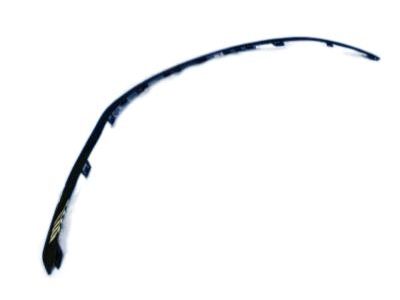 Chrysler 68202985AC Molding