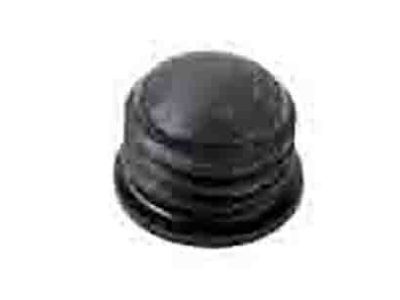 Jeep 4238717 CAP Bleeder