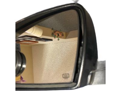 Mopar 1VF41KXJAD Mirror Assembly, Diamond Black, Front Driver Side