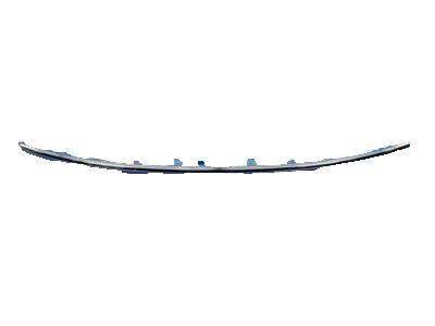Mopar 5113729AB Center Molding, Front Lower