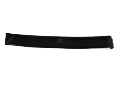 Chrysler Town & Country Door Moldings - 4717770AE