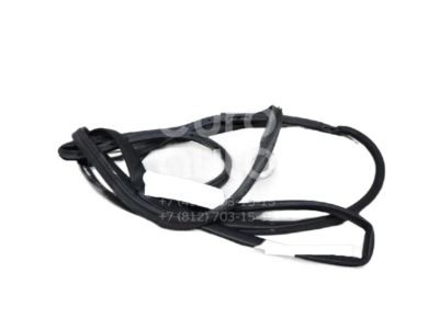 Chrysler Grand Voyager Door Seal - 4717329