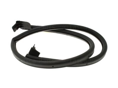 Jeep Door Seal - 55395272AL