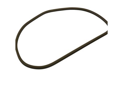 Mopar 55399174AC Weatherstrip Rear Door Sill Secondary