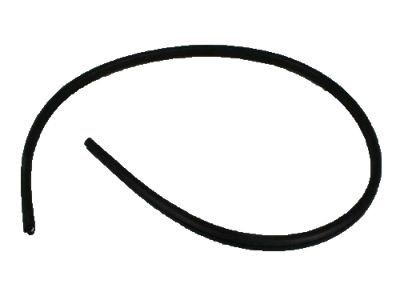 Dodge 4894635AC Glass Weatherstrip