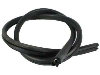 Dodge 4894635AC Glass Weatherstrip