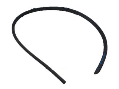 55394043AD Mopar Seal Front Door Product Photo 1 of 1