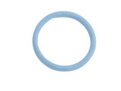 Jeep 53021239AA Timing Cover O-Ring