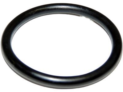 Jeep 53021239AA Timing Cover O-Ring