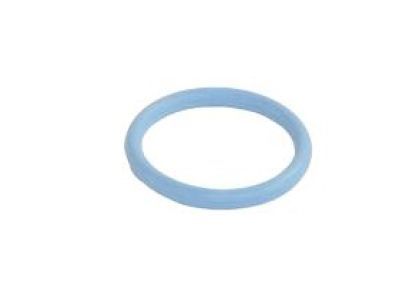 Jeep 53021239AA Timing Cover O-Ring