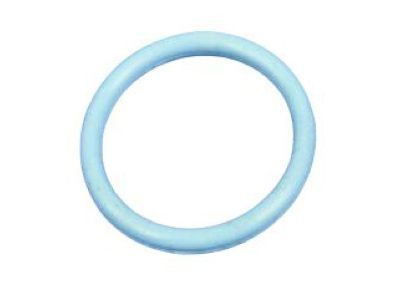 Jeep 53021239AA Timing Cover O-Ring