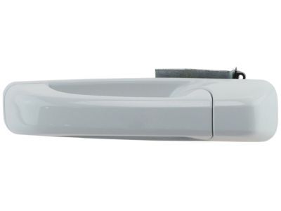 Ram 1GH19GW7AD HANDLE Exterior Door