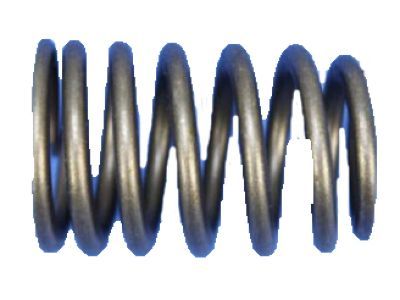 Jeep 53020749AC Valve Springs
