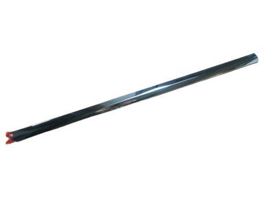 Ram Door Moldings - 68247508AD