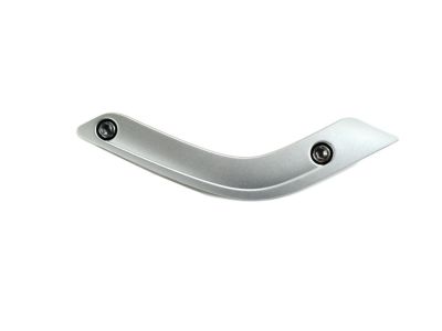 Mopar 1RE66JSLAD Bezel Release Handle