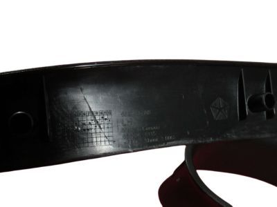 Mopar 68274703AA Trim Cover, Front Lower