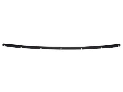 Chrysler 68040220AC Weatherstrip