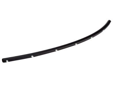 Chrysler 68040220AC Weatherstrip