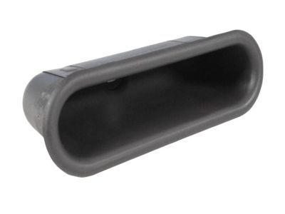 Chrysler SV10LAZAA CUP Door Pull