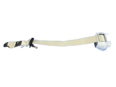 Chrysler 300 Seat Belt - 1HU13HL1AD