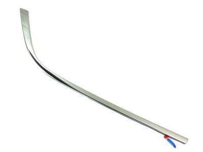 Chrysler 57010409AL MOLDING Day Light Opening Rear Door