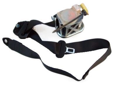 Jeep 5KC72DX9AG Outer Belt