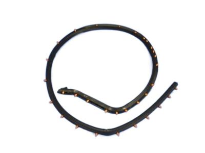 Dodge Viper Weather Strip - 68110772AC