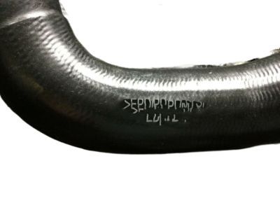 Jeep Renegade Radiator Hose - 68254641AA