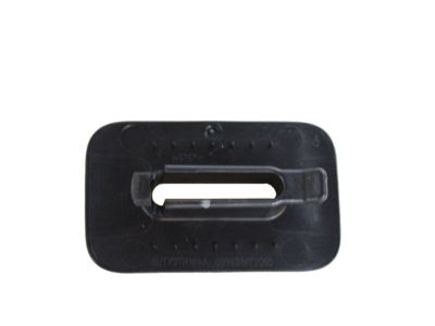 Mopar 5RU72DX9AA Bezel Pull Strap