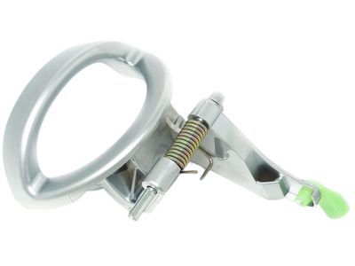Dodge 68004829AA Handle, Inside